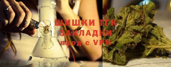 прущие грибы Вязьма