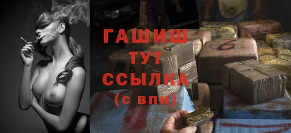 прущие грибы Вязьма
