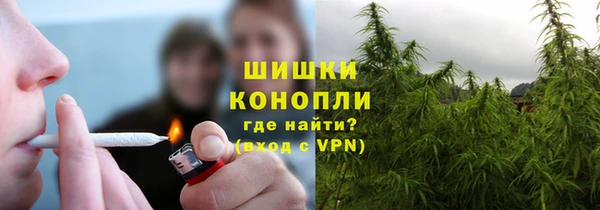 соль ск Вяземский
