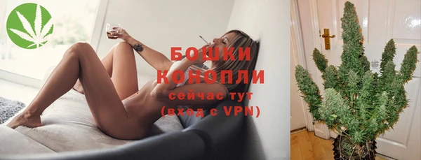 прущие грибы Вязьма