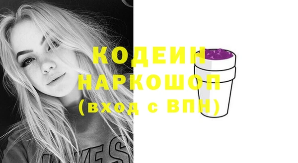 соль ск Вяземский