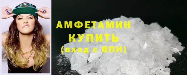 прущие грибы Вязьма