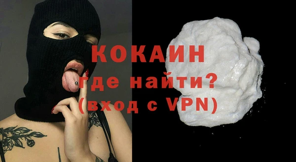 прущие грибы Вязьма