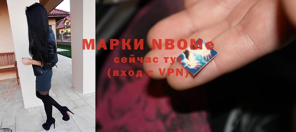 прущие грибы Вязьма