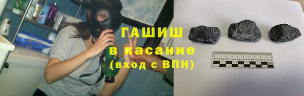 прущие грибы Вязьма
