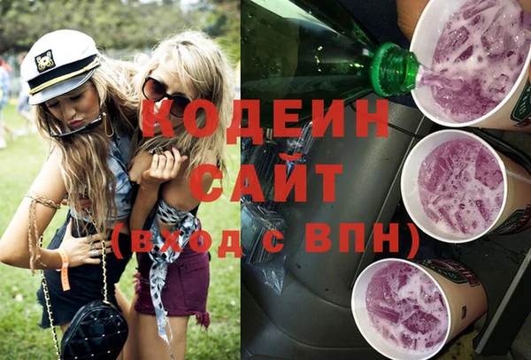 соль ск Вяземский