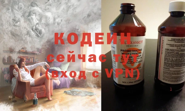 прущие грибы Вязьма
