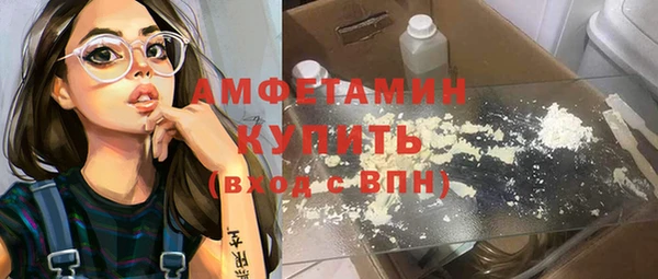 прущие грибы Вязьма