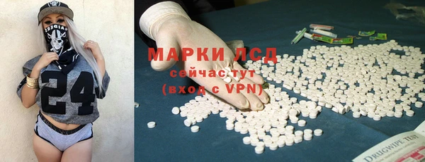 соль ск Вяземский