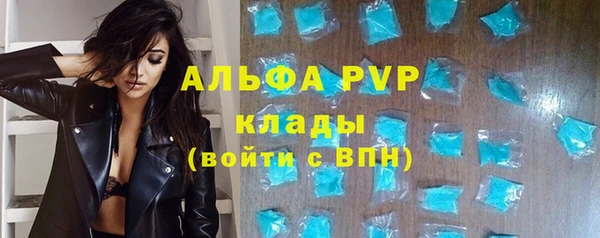 прущие грибы Вязьма