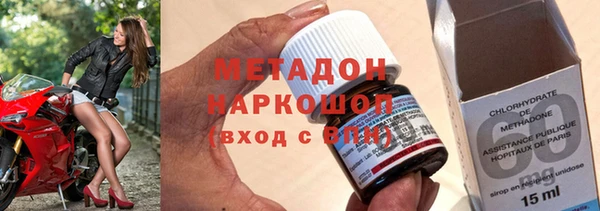 прущие грибы Вязьма